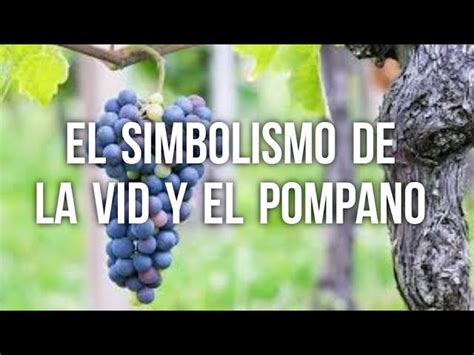 Que Es Un Pampano