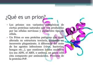 Que Es Un Prion