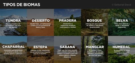 Que Es Una Ecoregion