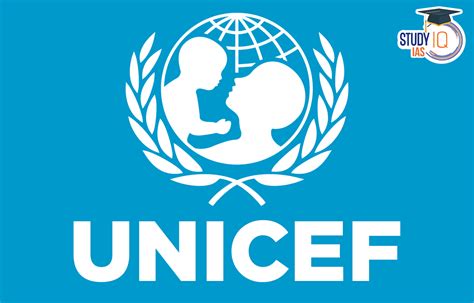 Que Es Unicef