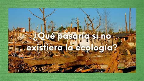 Que Pasaria Si No Existiera La Luna