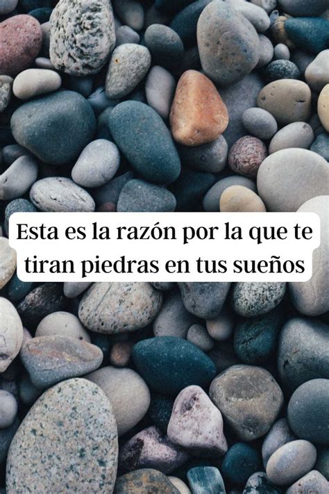 Que Significa Soñar Que Te Muerde Un Perro