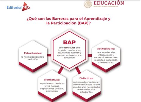 Que Son Las Bap