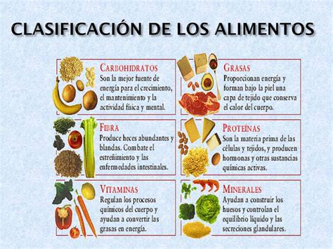 Que Son Los Alimentos