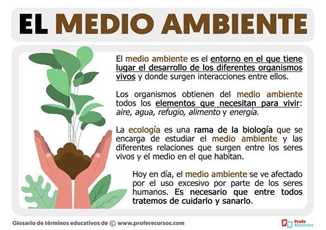 Que Son Los Ambientes