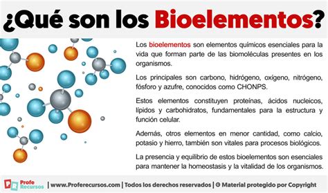 Que Son Los Bioelementos