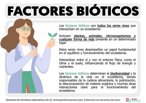 Que Son Los Bioticos