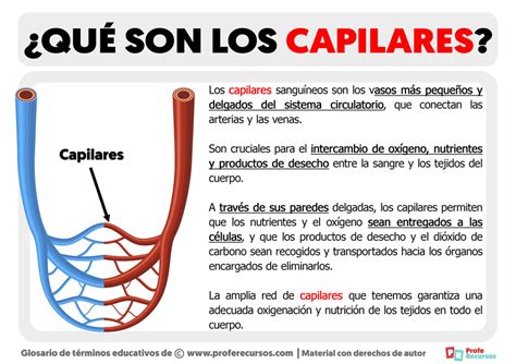 Que Son Los Capilares