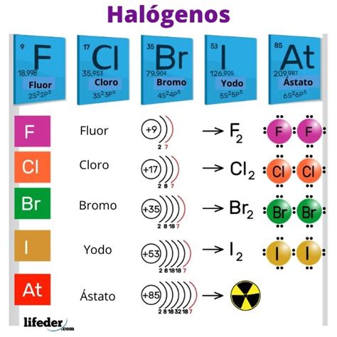 Que Son Los Halogenos