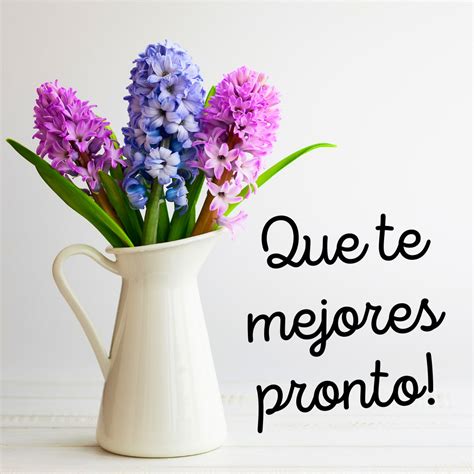 Que Te Mejores