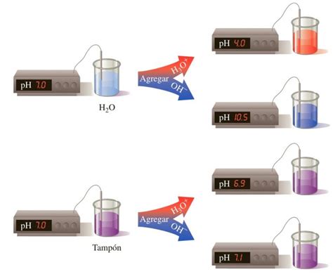 Thermo Scientific Lysis Buffer for MagJET Viral Kit Lysis buffer; 40mLMolecular Fisher Scientific