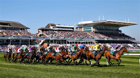 queens horse grand national
