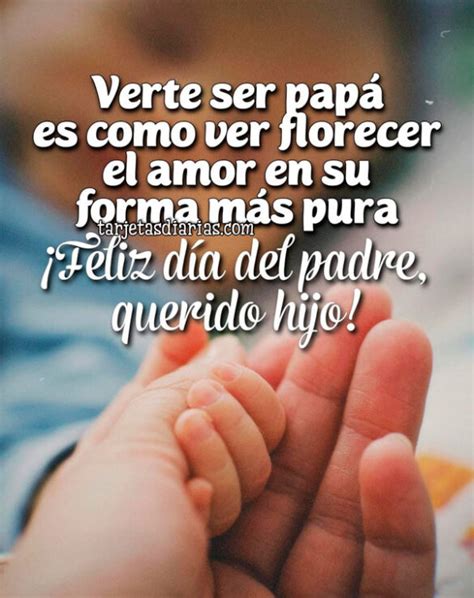 Querido Papa