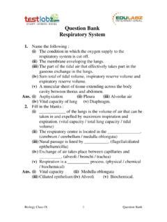 Read Question Bank Respiratory System Testlabz 