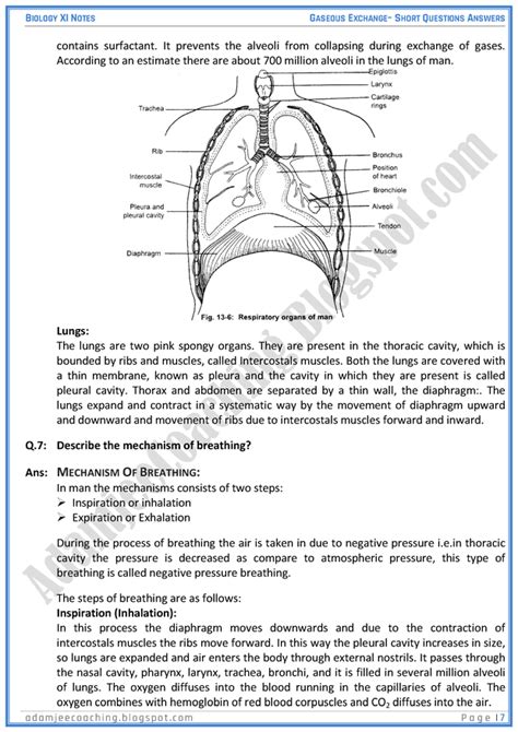 Full Download Question Paper Of Gaseous Exchange Practical 