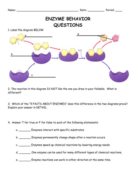 Download Questions On Enzymes With Answers 