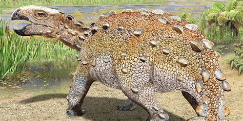 Questo Dinosauro è
