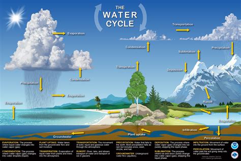 Quia Earth Science Water Cycle Earth Science Water Cycle - Earth Science Water Cycle