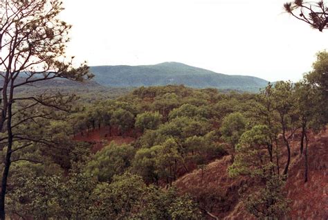 Instagram post by Katrina Simonis #0