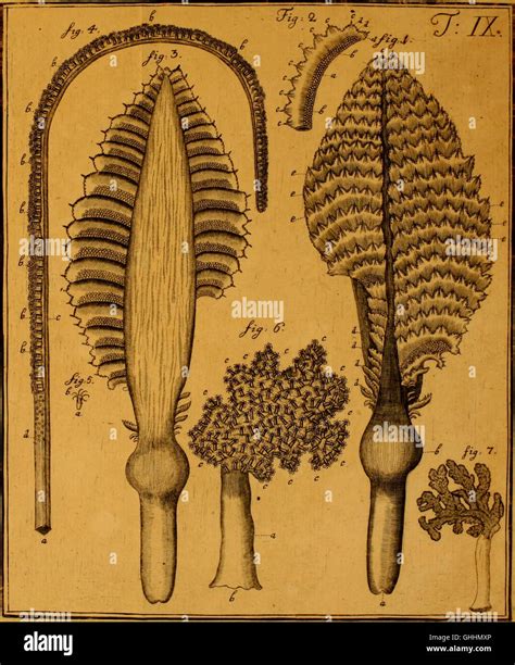 Instagram post by Germaine Gorczany #7