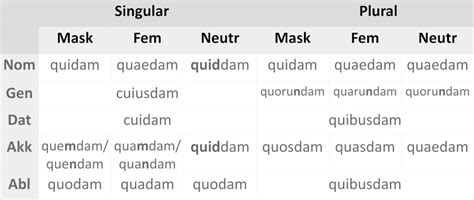 quidam latijn
