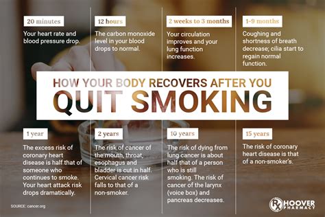 Read Quit Smoking In Seventeen Minutes And Burn Away Excess Fat 