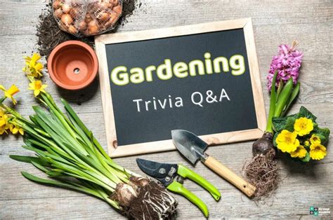 Quiz 85 Absolutely Delightful Gardening Trivia Questions Plant Questions And Answers - Plant Questions And Answers