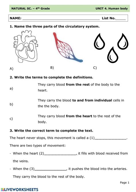 Quiz Amp Worksheet Annelid Circulatory System Study Com Annelid Worksheet Answers - Annelid Worksheet Answers