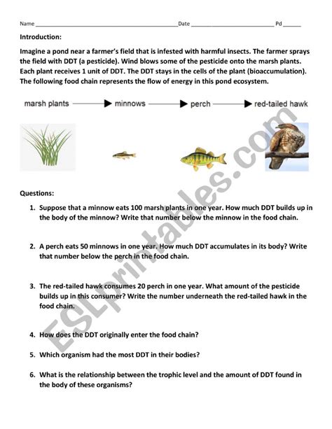 Quiz Amp Worksheet Bioaccumulation Vs Biomagnification Study Com Biomagnification Worksheet Answers - Biomagnification Worksheet Answers