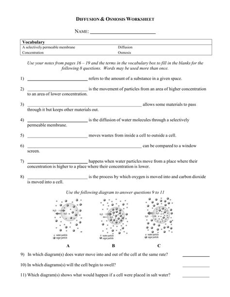 Quiz Amp Worksheet Diffusion And Osmosis Biology Lab Biology Diffusion And Osmosis Worksheet - Biology Diffusion And Osmosis Worksheet