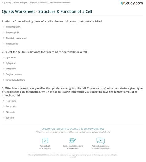 Quiz Amp Worksheet Structure Amp Function Of The Structure Of The Brain Worksheet Answers - Structure Of The Brain Worksheet Answers