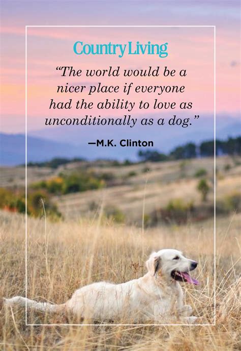 Quotation For Dog Lovers