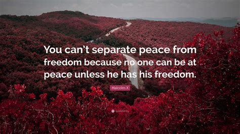 Quotes A Separate Peace