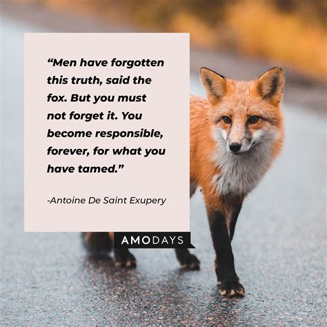 Quotes About A Fox