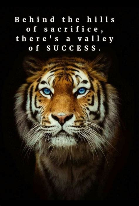 Quotes About A Tiger