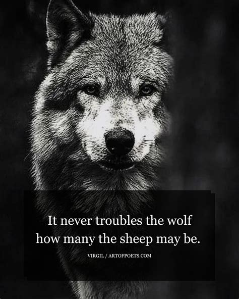 Quotes About A Wolf