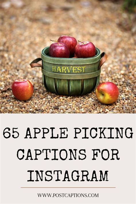 Quotes About Apple Picking