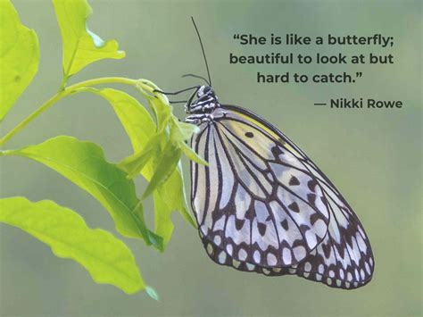 Quotes About Butterflies