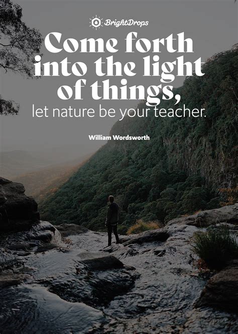 Quotes About Nature