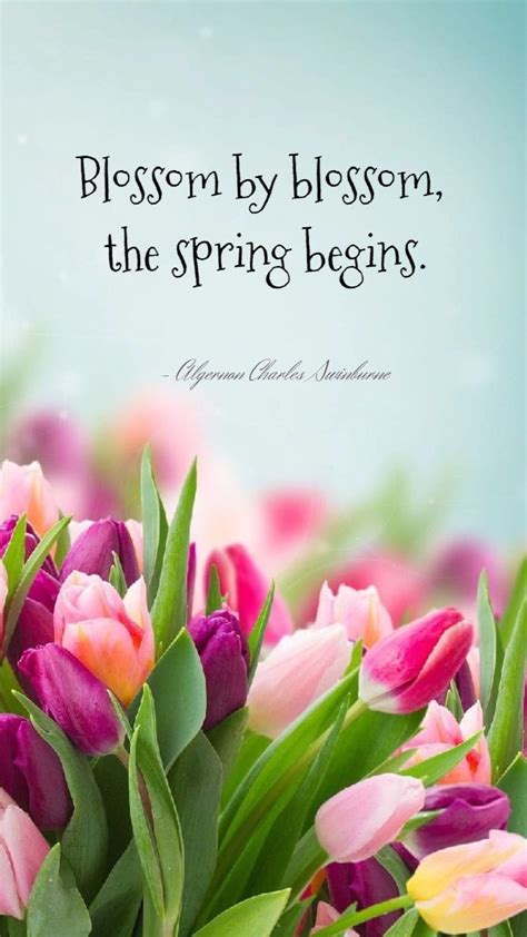 Quotes About Spring
