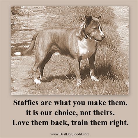 quotes about staffies breeders