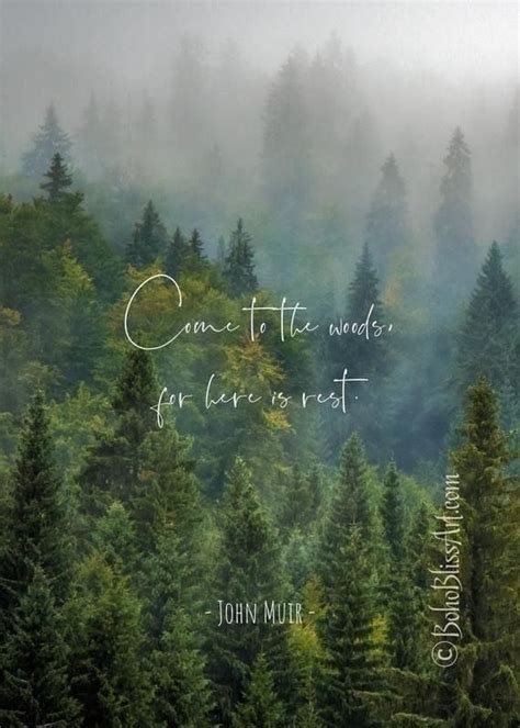 Quotes About The Woods