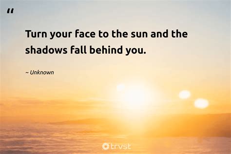 Quotes Of The Sun