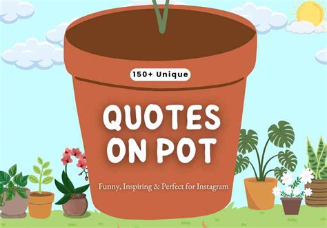 Quotes On Pot