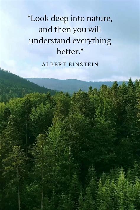 Quotes Regarding Nature