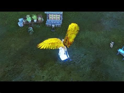 r/archeage on Reddit: Golden Astra Wings showcase (+Inoch