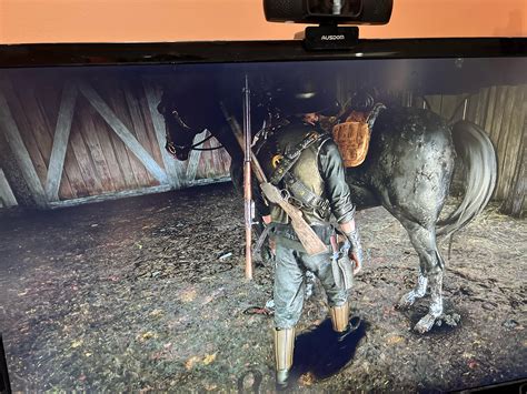 r/reddeadredemption on Reddit: Stuck in a stable in RDO?