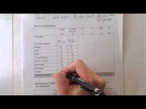 räkna ut foderstat häst