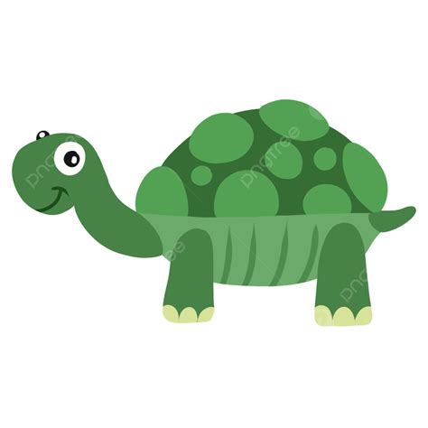 rùa | c im tp tnh ca loi ra