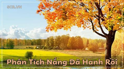 rồi | Ngha ca t Ri T in Vit